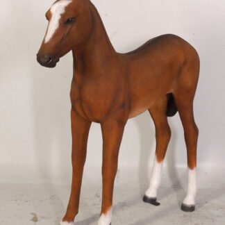 Horse Foal Statue