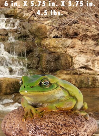 Small Green Frog on Rock Statue