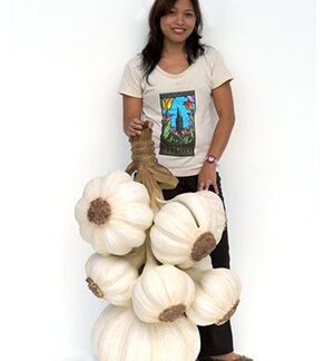 Garlic