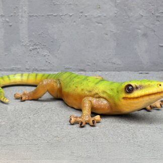 Gecko lizard Statue