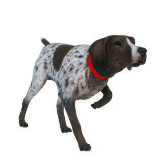German Shorthaired Pointer Dog Statue