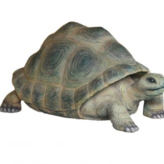 Giant Aldabra Turtle Statue
