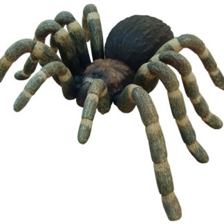 Over-sized Tarantula Spider Statue