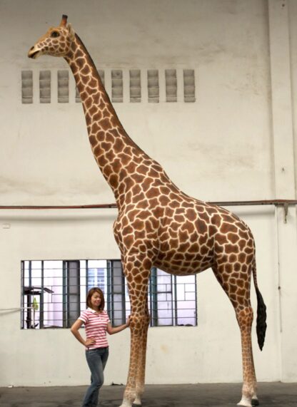 Giant Giraffe Statue 18 Ft.