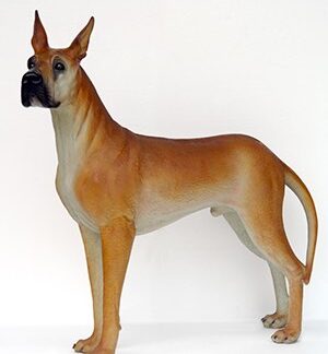 Life Size Great Dane Dog