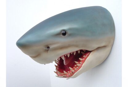 Great White Shark Head Wall Mount Display