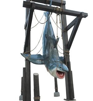 Great White Shark