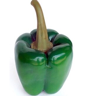 Bell Pepper ( Green )