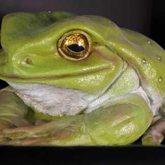 Jumbo Tree Frog Statue