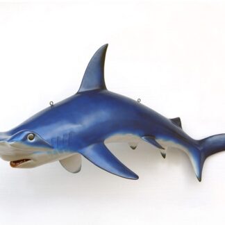 Hammer Head Shark Statue