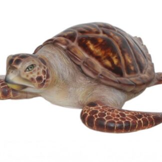 Hawksbill Sea Turtle Statue