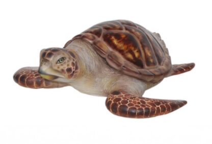 Hawksbill Sea Turtle Statue