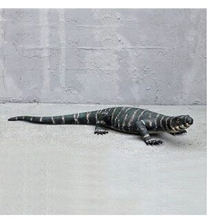 Lizard Lace Monitor