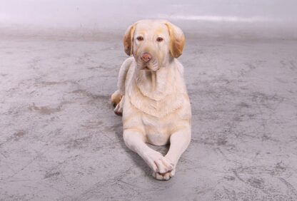 Yellow Labrador Statue - Laying Down