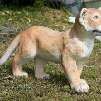 Lion Cub Standing Statue