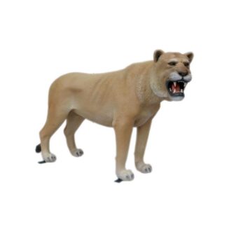 Lioness Standing