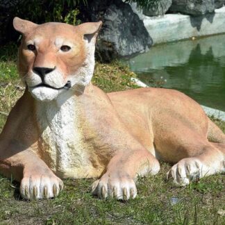 Lioness Lying Down Statue