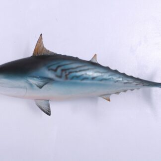 Mackerel Tuna Hanging Statue