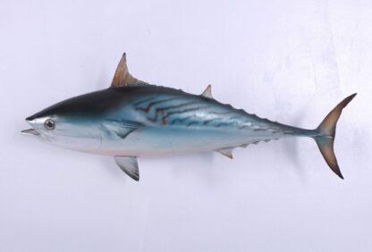 Mackerel Tuna Hanging Statue