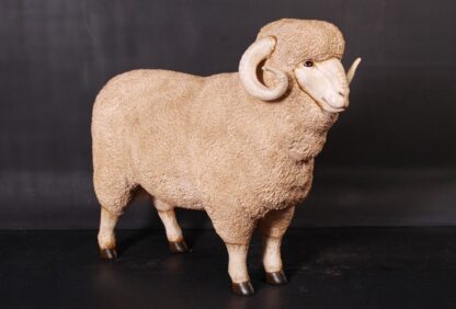 Ram Statue Life Size Merino Farm Animal Prop