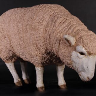 Merino Lamb Ewe Statue Head Down Farm Animal Prop