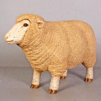 Small Merino Ewe Lamb Statue