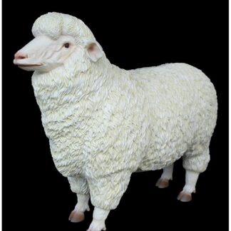 Merino Sheep Statue - 3ft.
