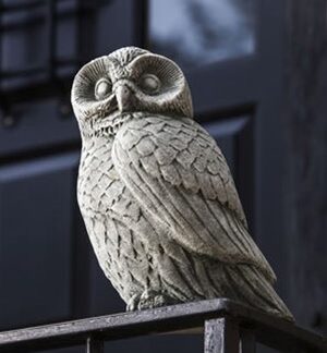 Night Owl