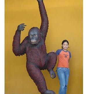 Life Size Safari Party Prop Fiberglass Orangutan Hanging