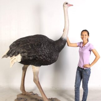 Ostrich Statue