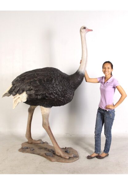 Ostrich Statue