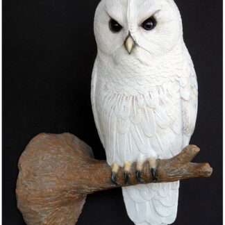 Owl on Tree Branch