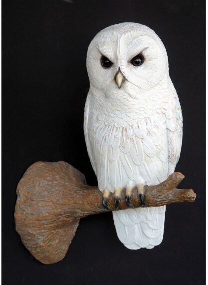 Owl on Tree Branch
