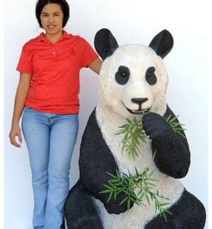 Panda Bear Sitting