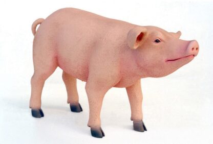 Pig Standing Statue