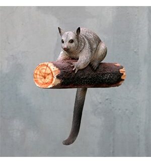 Possum Brush Tailed Statue