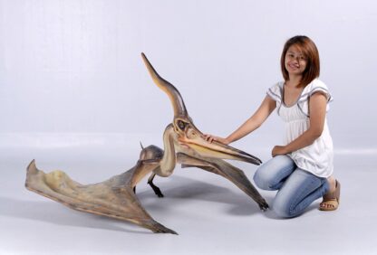 Pteranodon Ingens Fiberglass Statue