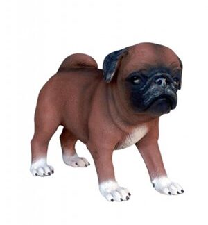 Pug Dog Puppy 2