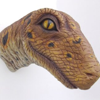 Raptor Head Wall Mount