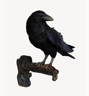 Raven (Head up) Wall Decor