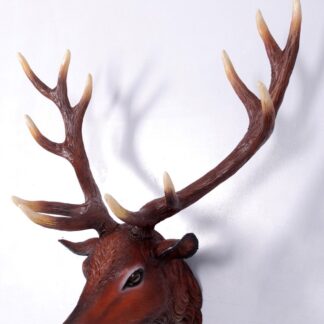 Red Deer Stag Head Wall Mount