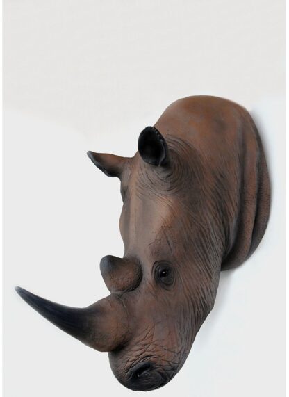 Rhino Head Wall Mount