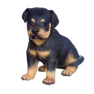 Rottweiler Puppy Statue