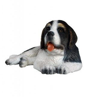Saint Bernard Dog Puppy