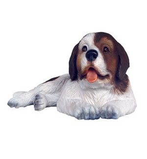 Saint Bernard Dog Puppy 2