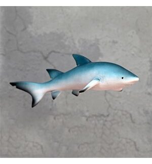 Sand Shark