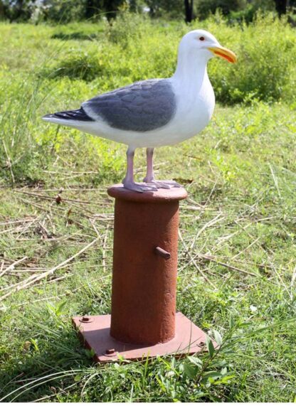 Seagull Statue on Mooring Board