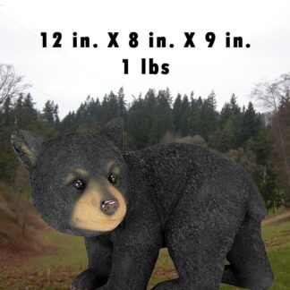Shy Bear Cub