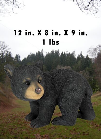Shy Bear Cub