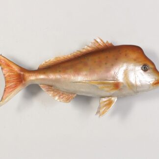 Snapper Fish Statue